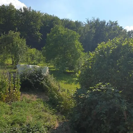 Appartement Kod Nane Cane *