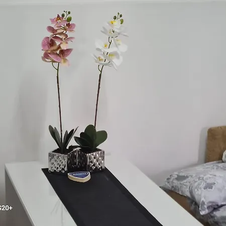 Apartament Kod Nane Cane *