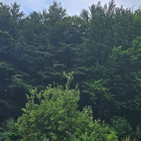 Kod Nane Cane * Nova Varoš