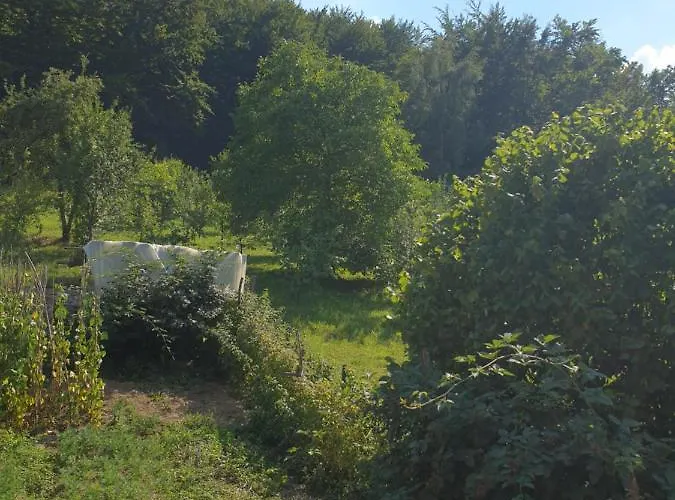 Apartment Kod Nane Cane *