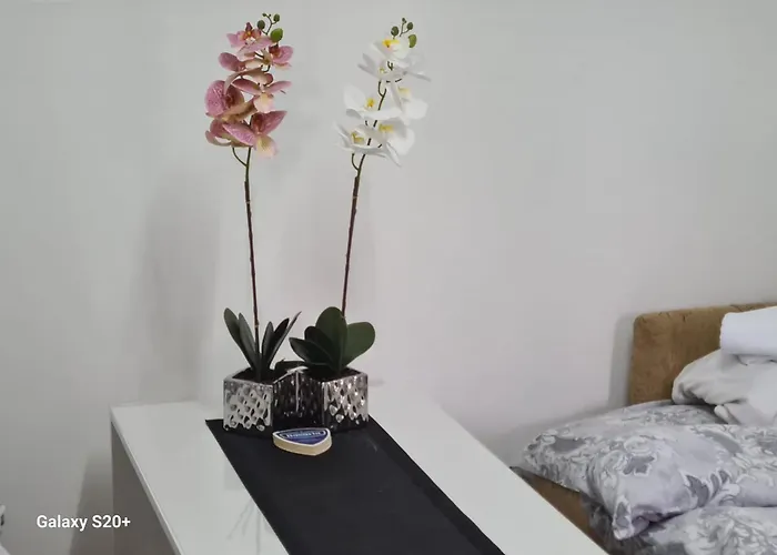 Apartment Kod Nane Cane *