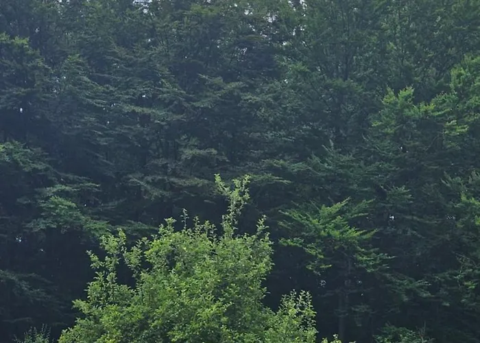 Kod Nane Cane * Nova Varoš